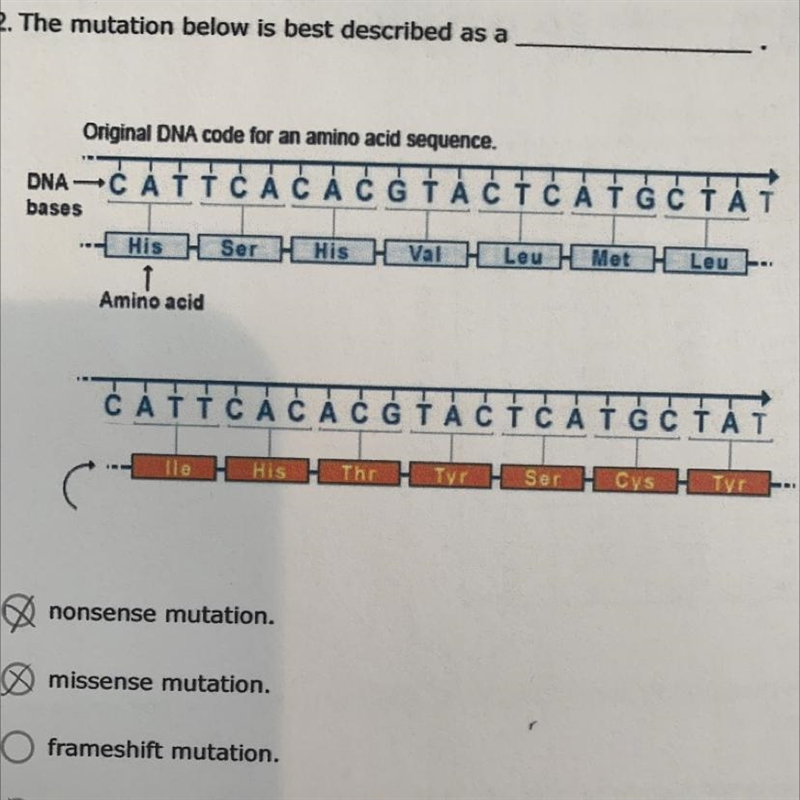 2. The mutation below is best described as a A.nonsense mutation. B.missense mutation-example-1