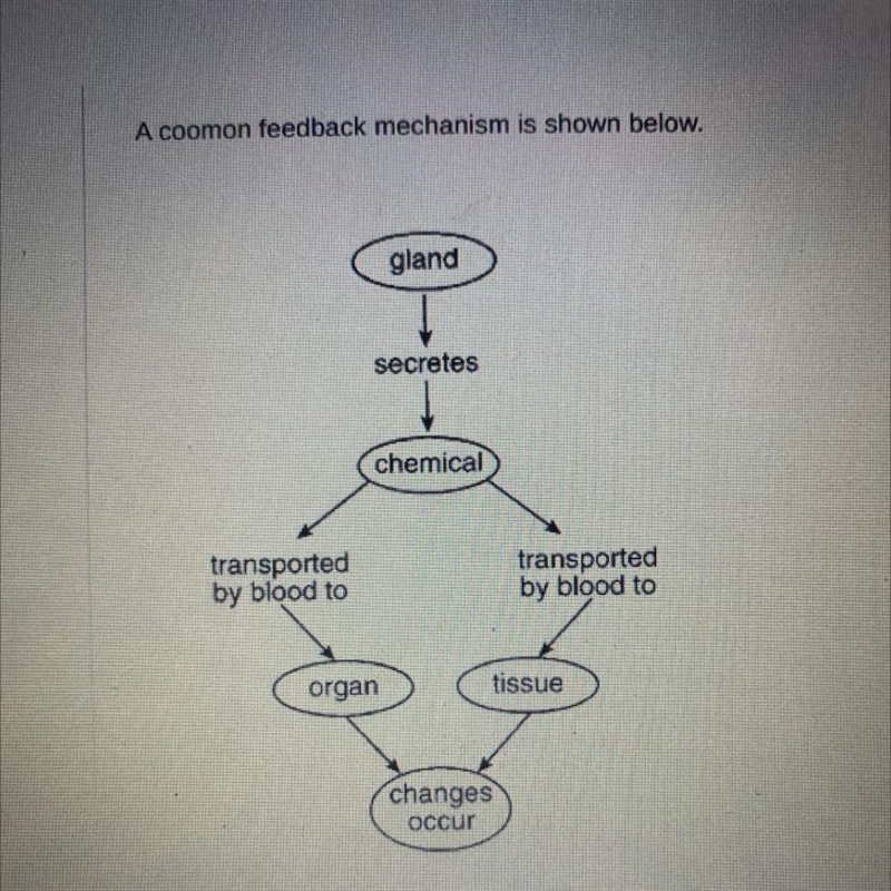 Which two systems are interacting based on the diagram? Select one: A. Muscular and-example-1