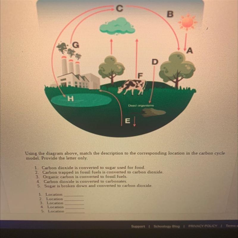 Please help with this it is carbon cycle-example-1