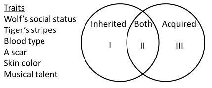 A student is given a list of traits and is asked to organize them in a Venn diagram-example-1