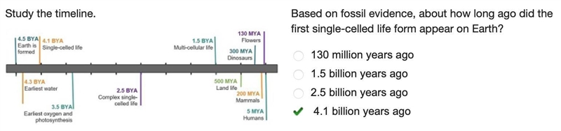 Study the timeline. A timeline. 4.5 billion years ago, Earth is formed. 4.3 billion-example-1