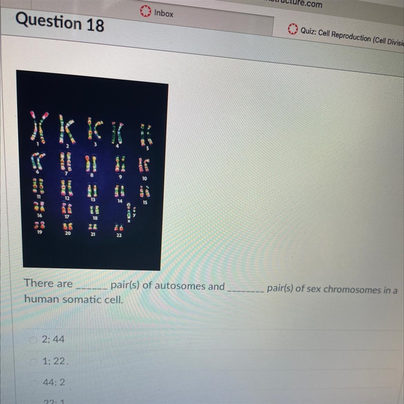 Please answer quickly!There are _____ pair(s) of autosomes and _____ pair(s) of sex-example-1