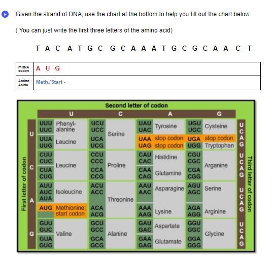 Given the strand of DNA, use the chart at the bottom to help you fill out the chart-example-1