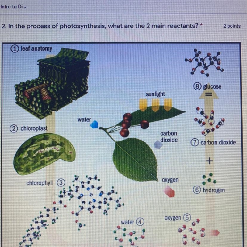 In the process of photosynthesis what are the 2 main. Reactants-example-1