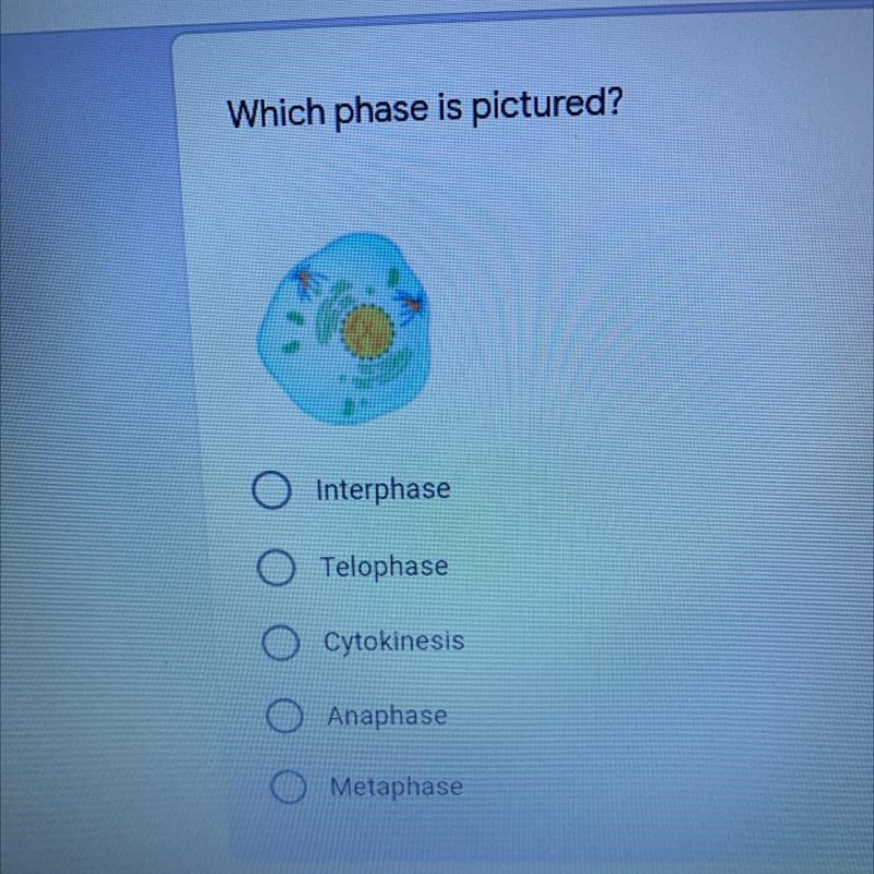 Which phase is pictured?-example-1