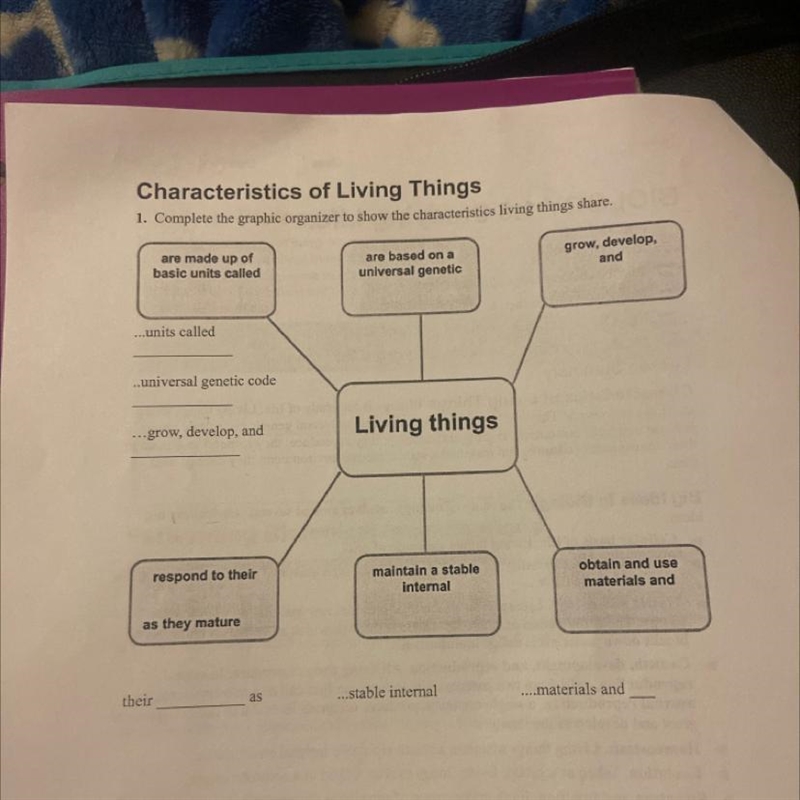 !! PLEASE HELP !! i’ll give 20 points-example-1