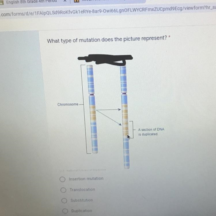 What type of mutation does the picture represent?-example-1