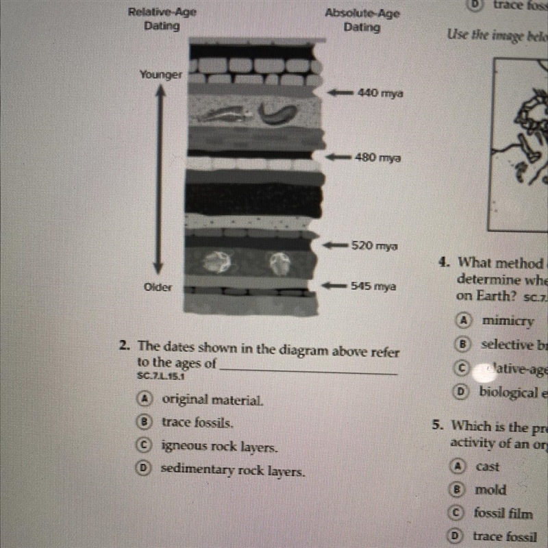 The dates shown in the diagram above refer to ages of ______-example-1