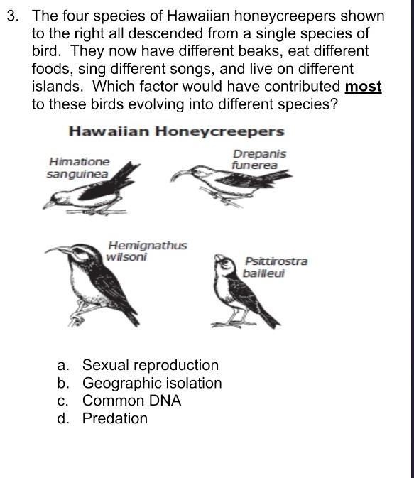 PLEASE HELP ME!! ^^^^^^ Sexual Reproduction Geographic isolation common DNA predation-example-1