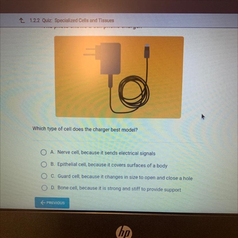 Which type of cell does the charger best model? O A. Nerve cell, because it sends-example-1