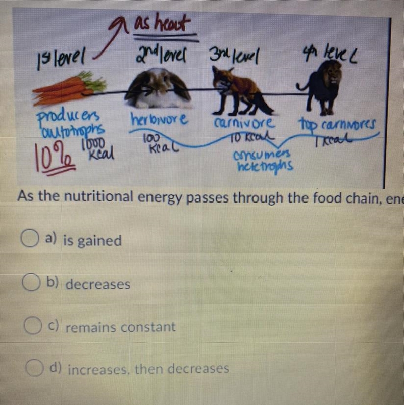 As heat and level 3rd level 4 level Slevel carnivore top carnmores producers outotropins-example-1