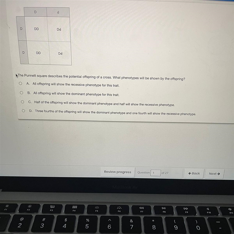 D d DD Dd D DD Dd The Punnett square describes the potential offspring of a cross-example-1