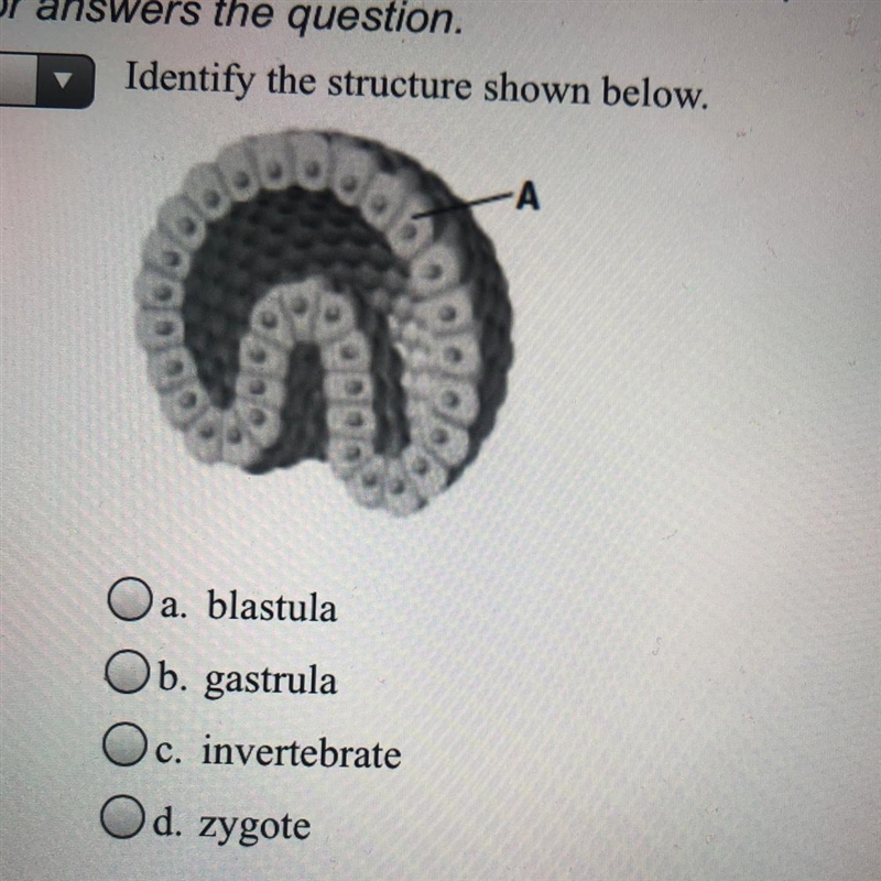 Identify the structure shown below.-example-1