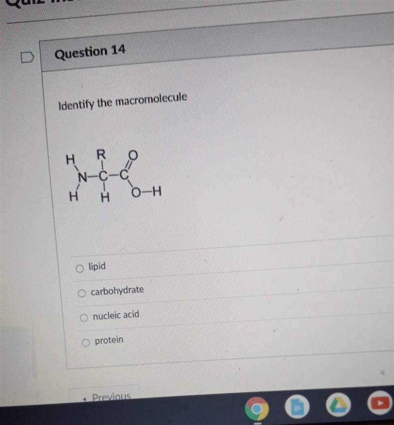 Identify the macromolecule 30 points bestie ​-example-1