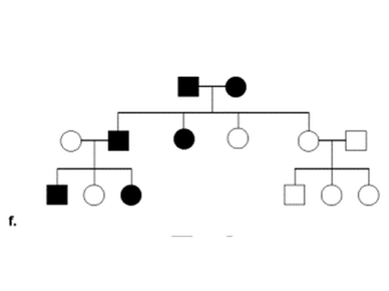 What type of inheritance is shown on this pedigree? A. Dominant B. Recessive C. Sex-example-1