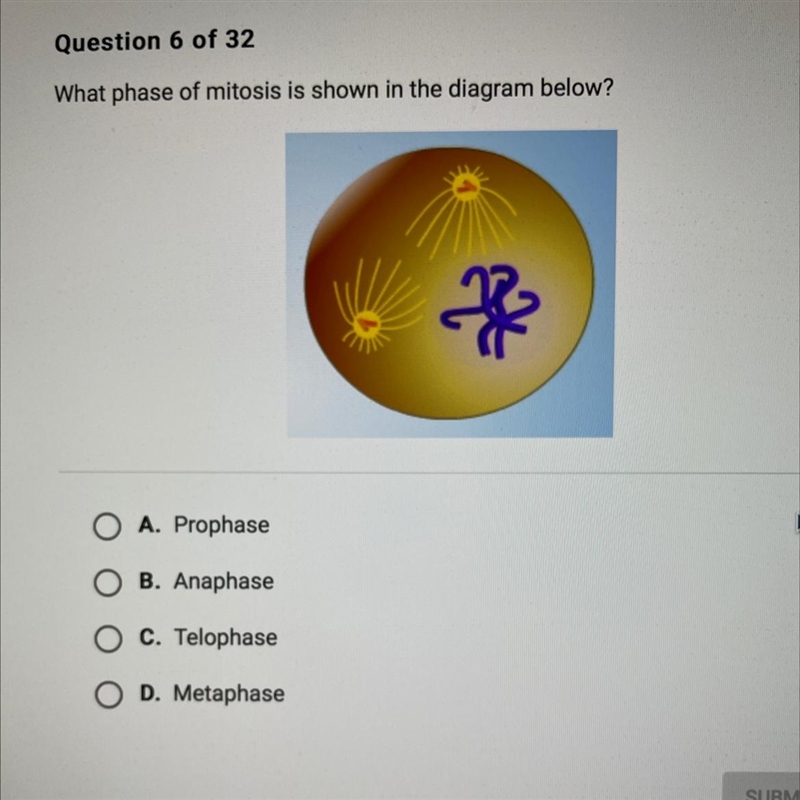 What phase of mitosis is shown in the diagram below?-example-1