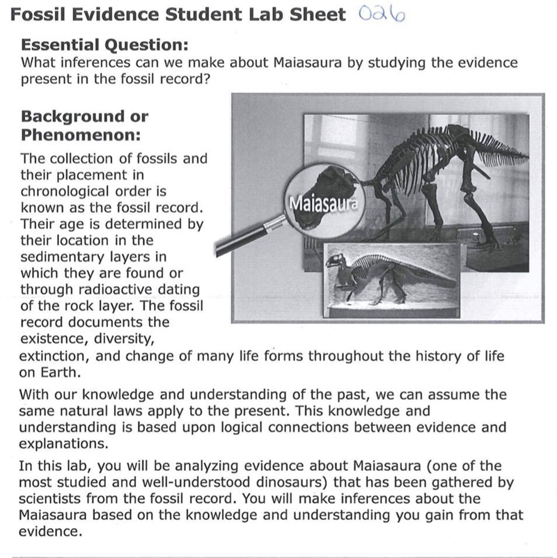 Fossil evidence student lab sheet 1. “How can studing the fossil record give scientists-example-1