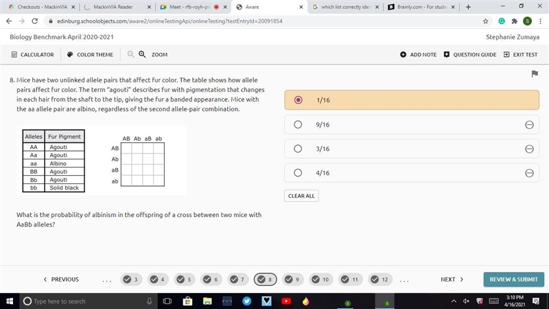 Please answer ASAP, thank you!! Mice have two unlinked allele pairs that affect fur-example-1