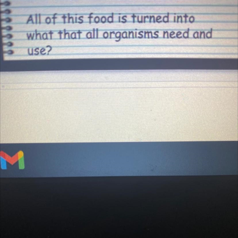 All of this food is turned into what that all organisms need and use ?-example-1