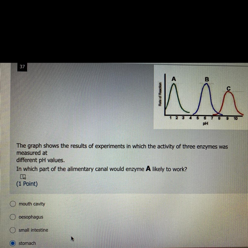 Pls help with this !!!!!!-example-1