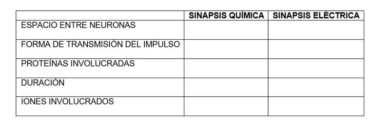 Escribe las diferencias entre los dos tipos de sinapsis.-example-1