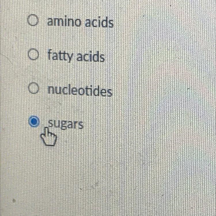 Lactase is an enzyme produced in the small intestine helps digest lactose. What basic-example-1