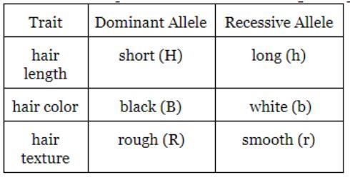 Using the allele symbols in the table, identify the genotype of a guinea pig that-example-1