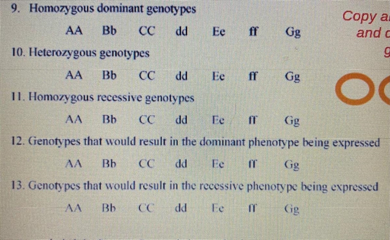 Can someone help me please this is due today I asked 3 times (monohybrid crosses)-example-1