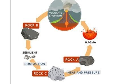 The diagram below shows part of the rock cycle. Which type of rock does A represent-example-1