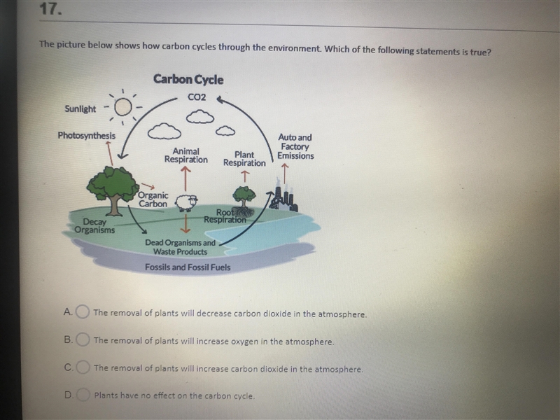 Need help please bio is kicking my noggin-example-1