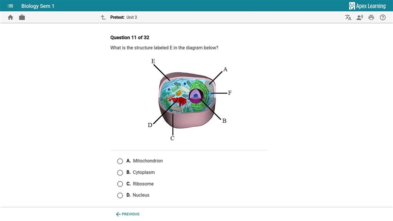 What is the structure labeled E in the diagram below?-example-1