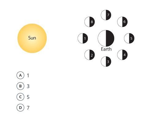 Which number would show a Full Moon while on the surface of Earth looking up?-example-1