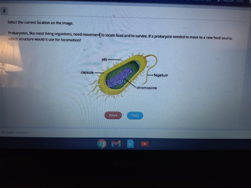 Please help!!!!!!Time sensitive!!!!!!!!!!!! Worth 25 points-example-1