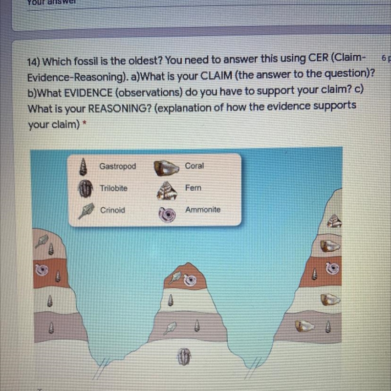 14) Which fossil is the oldest? You need to answer this using CER (Claim- Evidence-example-1