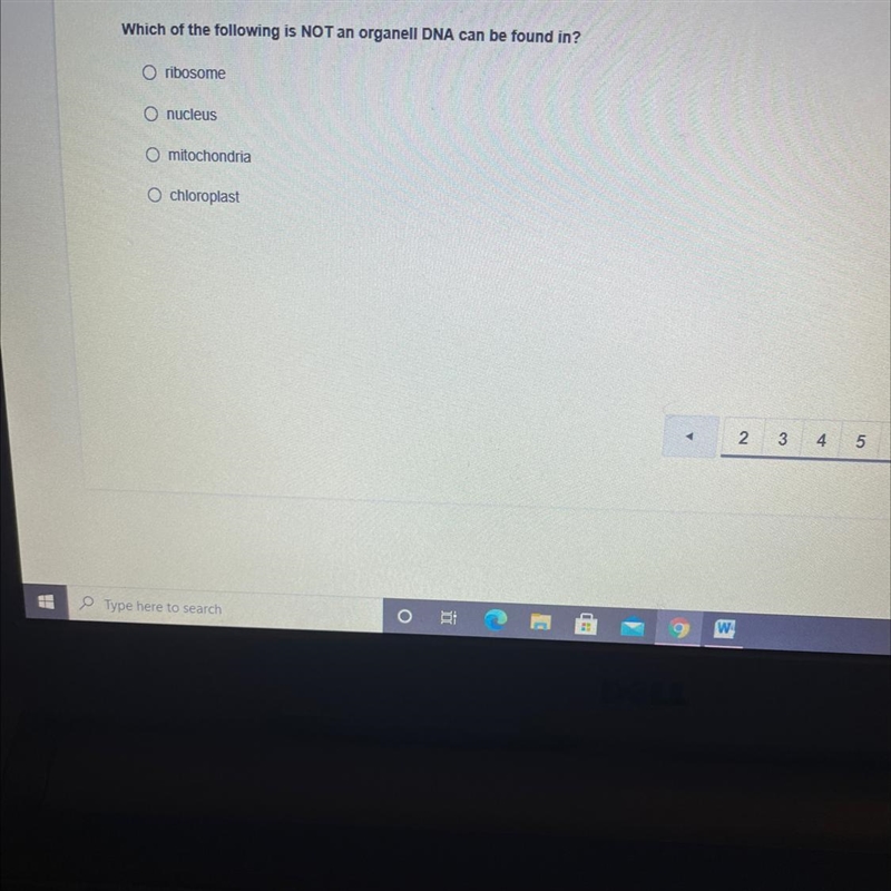 Which of the following is NOT an organell DNA can be found in?-example-1