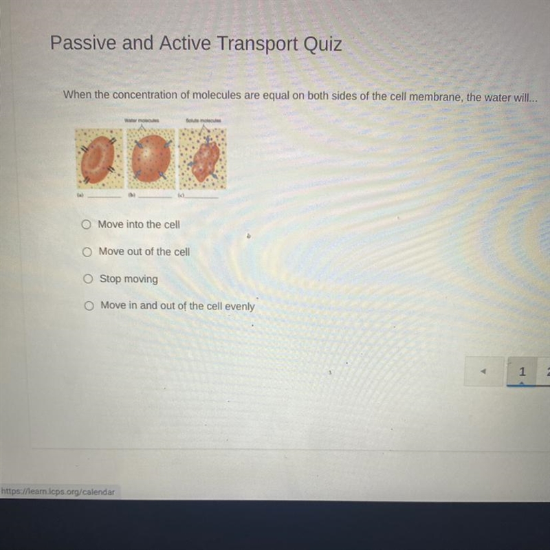 When the concentration of molecules are equal on both sides of the cell membrane, the-example-1