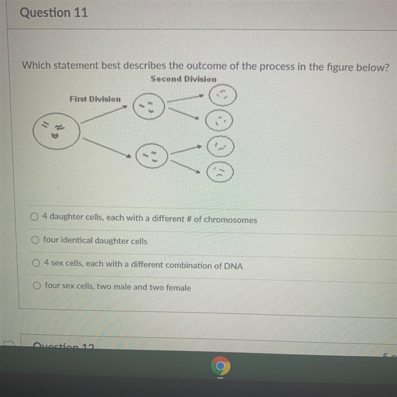 Which statement best describes the outcome of the process in the figure below? - 4 daughter-example-1