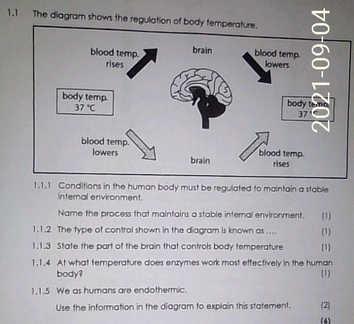 Can someone help me with this thing ❤️​-example-1