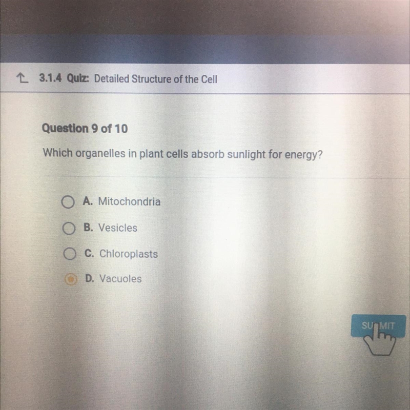 Which organelles in plant cells absorb sunlight for energy? O A. Mitochondria O B-example-1