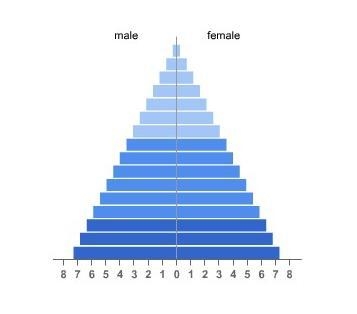 Which prediction is true based on this population pyramid? The population is not growing-example-1