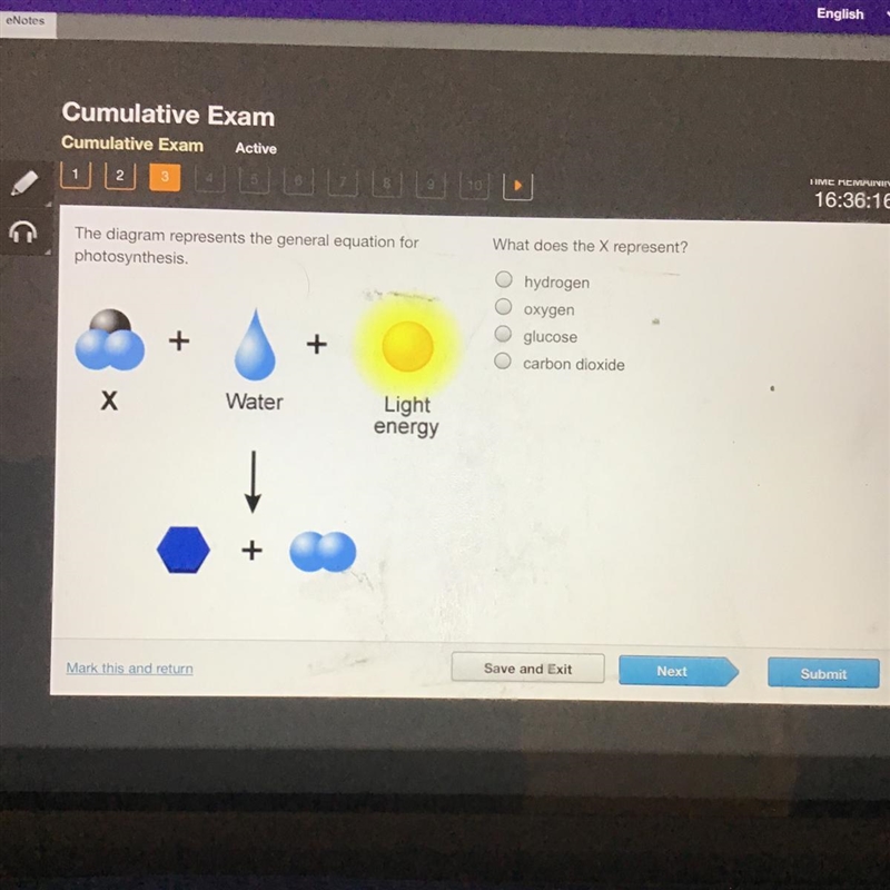 What does the X represent? hydrogen oxygen glucose carbon dioxide-example-1