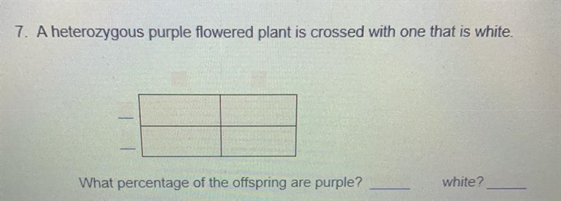 A heterozygous purple flowered plants is crossed with one that is while.-example-1