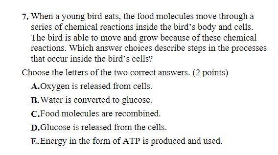 Pls answer this question 7-example-1