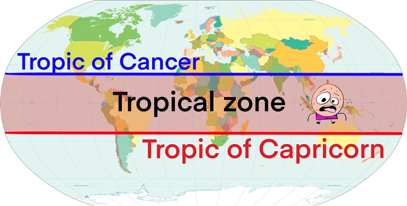 Like in this picture, Does tropical zone have a high temperature?-example-1