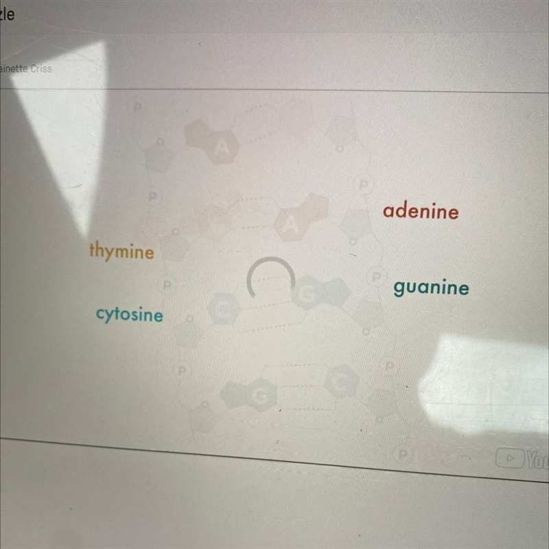 What are the four nitrogen bases in DNA (check all that apply)? thymine guanine adenine-example-1