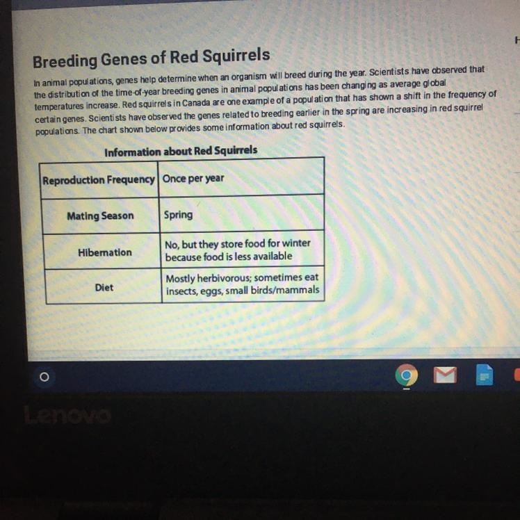 How do increases of global temperatures affect red squirrels food supply? A. Less-example-1