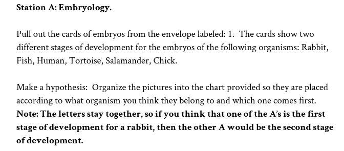 Add evidence based on reading: Read the section titled: Station A: Similar Embryos-example-1