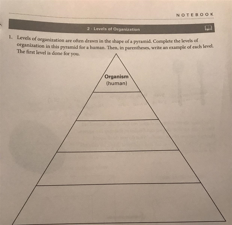 This is Science:Please help me in number 1-example-1