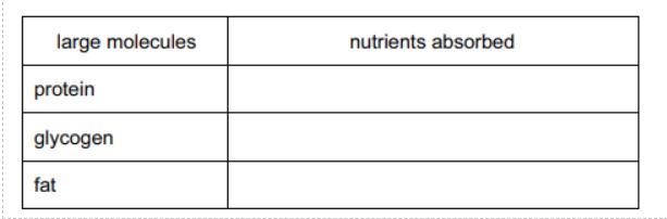 Complete the table below to show the absorption of micro (small) nutrients, that are-example-1