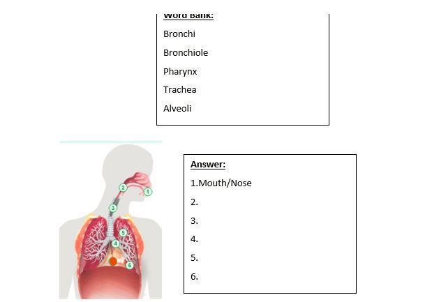 Help me, it's due today-example-2